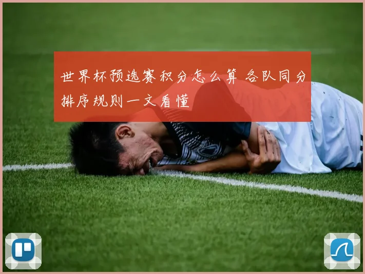 世界杯预选赛积分怎么算 各队同分排序规则一文看懂