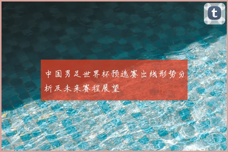 中国男足世界杯预选赛出线形势分析及未来赛程展望