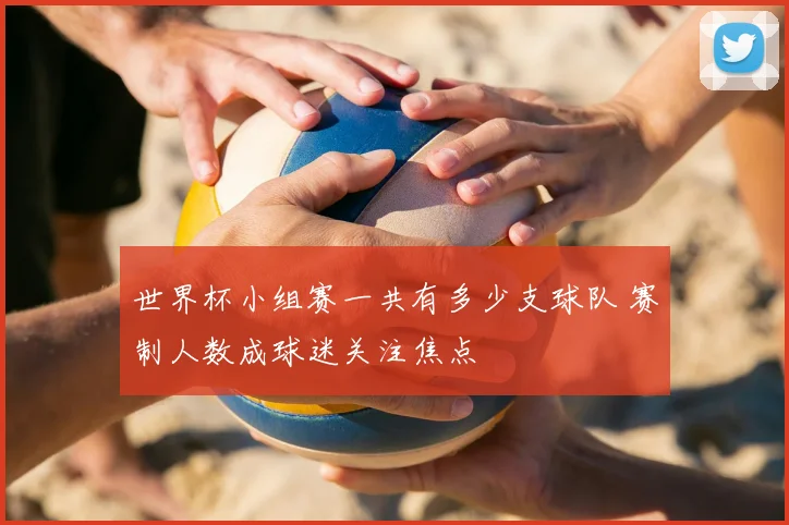 世界杯小组赛一共有多少支球队 赛制人数成球迷关注焦点