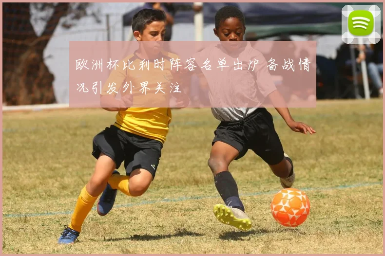 欧洲杯比利时阵容名单出炉 备战情况引发外界关注